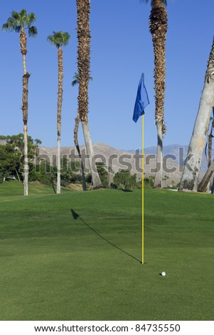 Golf course with palm trees- vibrant colors with extra copy space