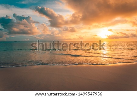 Closeup of sea beach and colorful sunset sky. Panoramic beach landscape. Empty tropical beach and seascape. Orange and golden sunset sky, soft sand, calmness, tranquil relaxing sunlight, summer mood ストックフォト © 