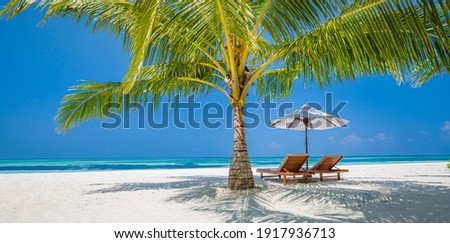 Beautiful tropical beach banner. White sand coco palms travel tourism wide panorama. Summer sea horizon, idyllic island nature scene. Amazing beach landscape. Luxury island resort vacation or holiday