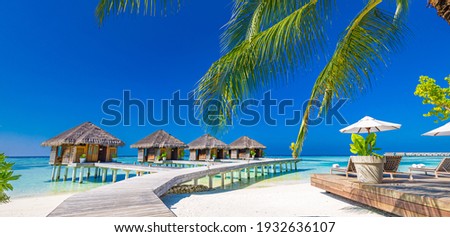 Luxury hotel with water villas and palm tree leaves over white sand, close to blue sea, seascape. Beach chairs, beds with white umbrellas. Summer vacation and holiday, beach resort on tropical island