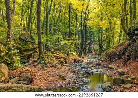 Similar – Image, Stock Photo Stream in the forest in winter with snow