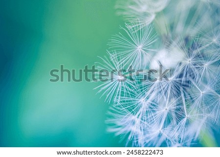 Similar – Image, Stock Photo dandelion Environment