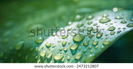 Image, Stock Photo raindrop Environment