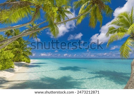 Similar – Image, Stock Photo A perfect vacation postcard from Portugal, Porto. Endless blue ocean, angry waves, and rocky shore accompanied by a gorgeous woman in a wet t-shirt. This must be a perfect place to stay for the holidays.