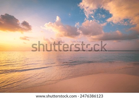 Similar – Image, Stock Photo Scenic seascape with sandy shore and rocky cliffs against night sky