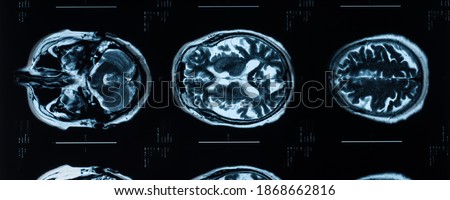 Shutterstock Puzzlepix