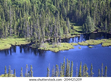 aerial wild forest and lake in northern quebec canada