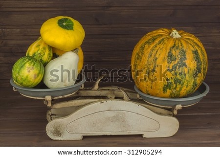 Old kitchen scale vegetable. Autumn harvest of pumpkins. Preparing for Halloween. Growing vegetables in a home garden. Place for your text. Autumn pumpkins with leaves on wooden board