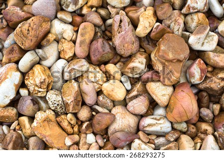 the pattern of rock on beach is present texture in nature