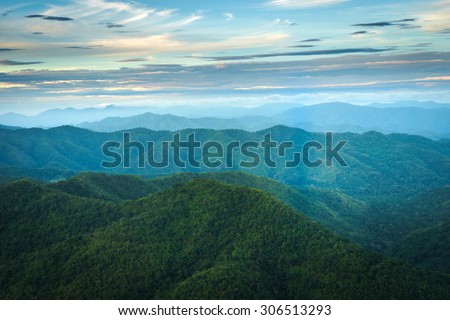 Green environment hill in thailand national park