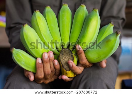 Raw green banana is placed in the hands of men who suffer from polio Thailand.