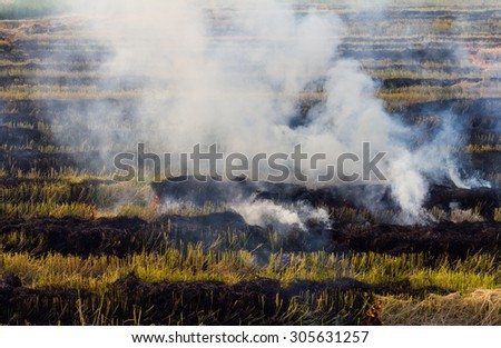 Burning straw stubble farmers may smoke pollution, which is a dangerous global warming.