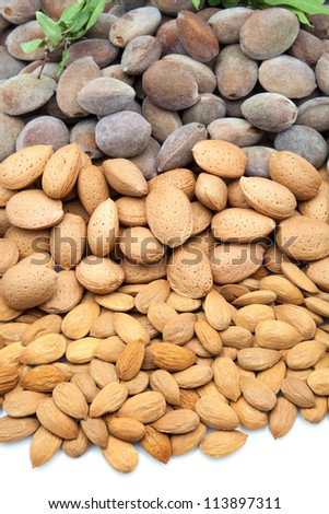 newly harvested and bare almonds