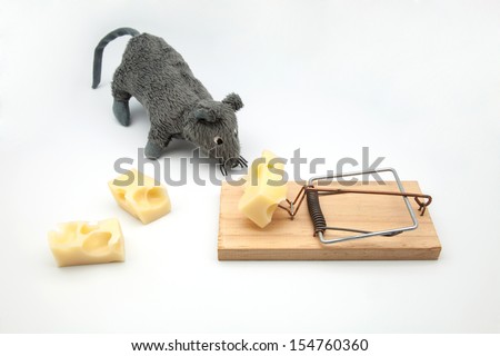 mouse of cloth and pitfall with cheese