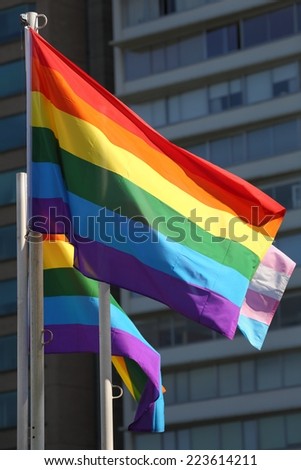 Pride Flag. A gay pride flag waving in the wind on a sunny day.