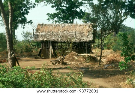 A toddy tappers\' hut in the Sri Lankan jungle