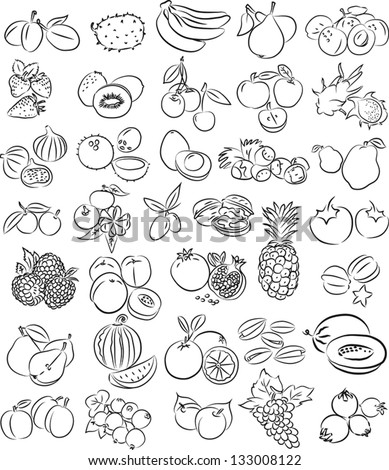 vector illustration of  fruits collection in black and white