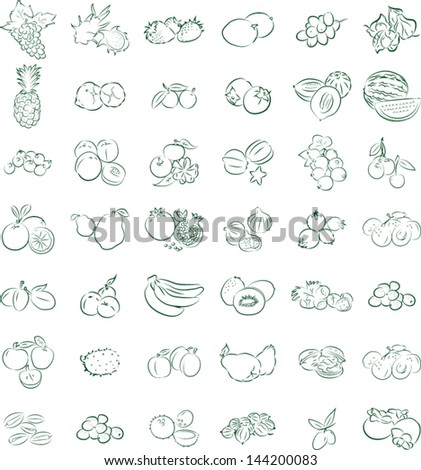 A set of fruit icons in line art mode. vector