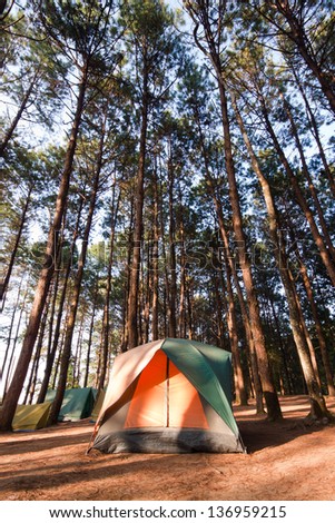 Camping Tent in Countryside