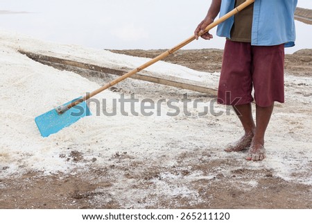 Farmer working at Salt pile in Thailand, Salt Pan.