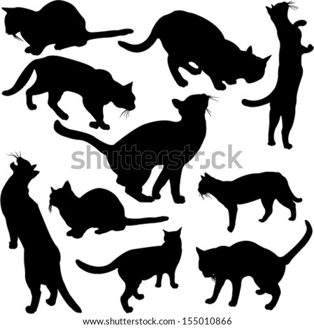 Cats Silhouette Collection - Vector - 155010866 : Shutterstock