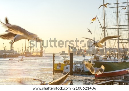 Similar – Image, Stock Photo Cranes over Hamburg | UT Hamburg