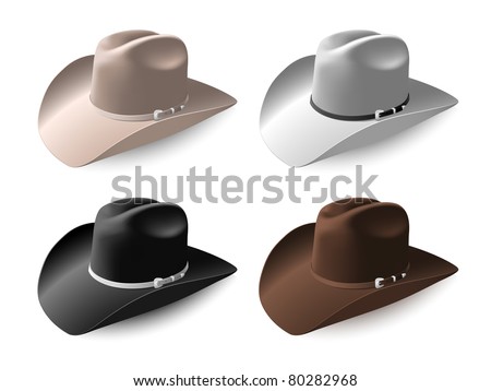 Cowboy hat set eps8