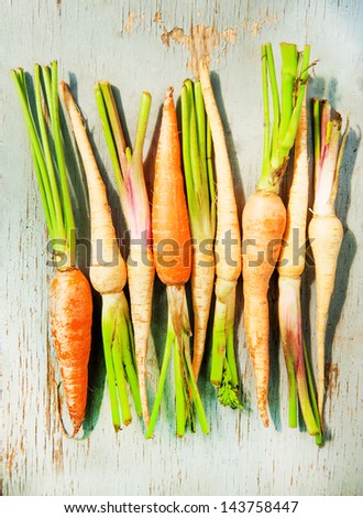 young fresh carrots and celery root on a wood background