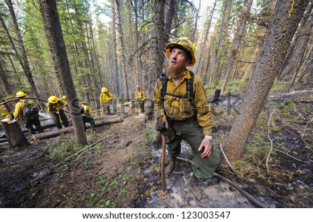 BIG PINEY, WY - JULY 8: Firefighter Brian Pickard watches for falling tree limbs while fighting a forest fire with his crew, Sunday July 8, 2012 near Big Piney, Wy.