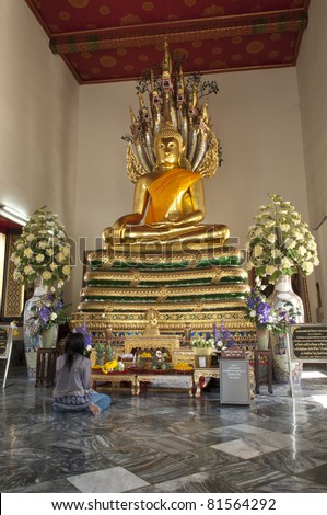 pay respect to the Buddha,pay homage to a Buddha image at at Wat  Phra Chetuphon Vimolmangklararm,Wat Pho,Bangkok,Thailand