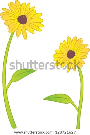 Two Black Eyed Susan Flowers. Stock Vector Illustration 128721629