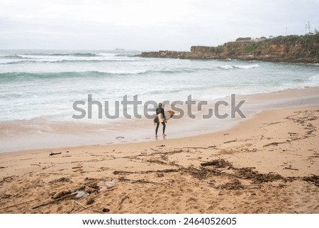 Similar – Image, Stock Photo Anonymous surfer at the beach with surfboard