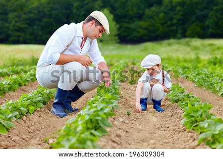 father and son gardening on their homestead