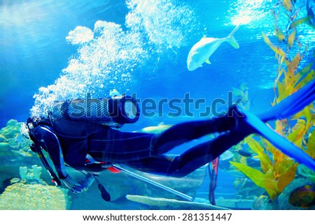 scuba diver swims underwater among reefs