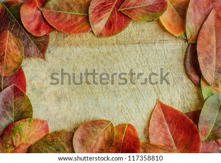 Autumn leaves on a wooden background with copy space
