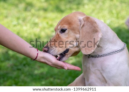 Shutterstock Puzzlepix