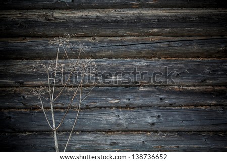 Natural distressed wood. Black and white image.