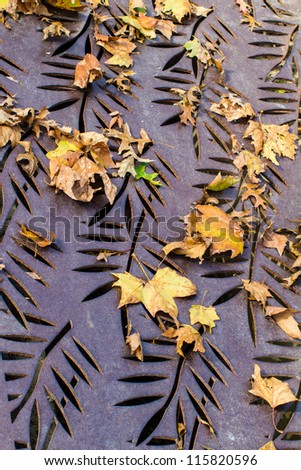 Autumn leaves on a carved metal grading in October