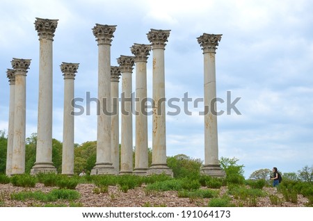 WASHINGTON, DC - MAY 4 -US National Columns Arboretum in Washington DC, USA on May 4, 2104. Corinthian columns with twenty-two columns submerged in 20 acres of open meadow, known as the Ellipse Meadow