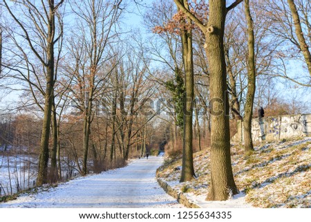 Similar – Image, Stock Photo Plötzensee in winter