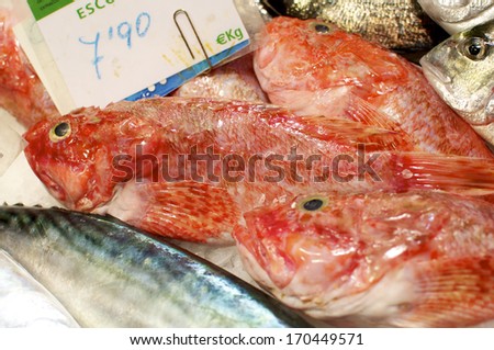Freshly fish on the market \