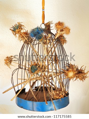 Blue cage for birds with some dried thistles
