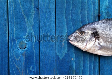 fish - raw fish hanging on a blue wooden fence - Goldfish, gilthead, sea bream