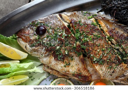 fish served as a meal for the restaurant with herbs and boiled potatoes as a side dish - rustic wooden background - Common dentex , Pink dentex, Dentex dentex, Dentex gibbosus
