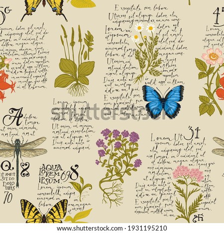 Vector seamless pattern with handwritten text Lorem Ipsum, medicinal herbs and insects. Hand-drawn colored plants, butterflies, dragonfly on an old paper background. Wallpaper, wrapping paper, fabric