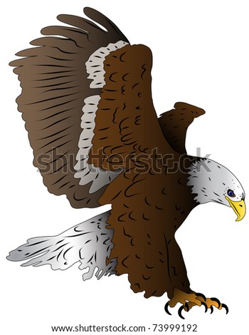 Illustrated Bird, An Eagle In Landing Stock Vector Illustration ...