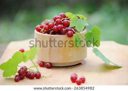 Wooden bowl with fresh red currants outdoor