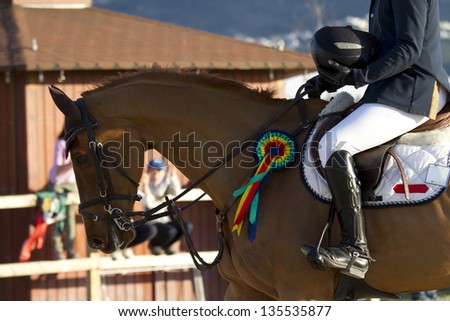 Horse and rider with prize winner of the competition