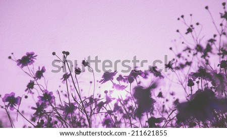 Purple color flowers