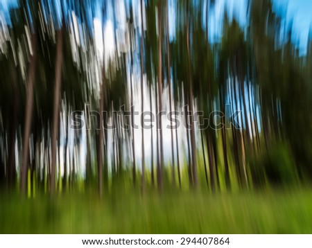 abstract artistic vertical motion blurred tree trunks, wall art